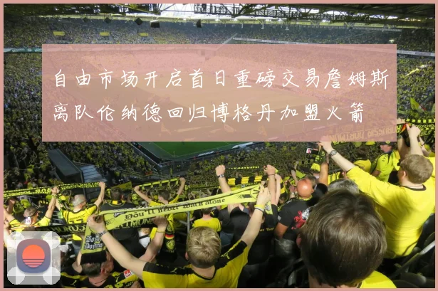 自由市场开启首日重磅交易詹姆斯离队伦纳德回归博格丹加盟火箭